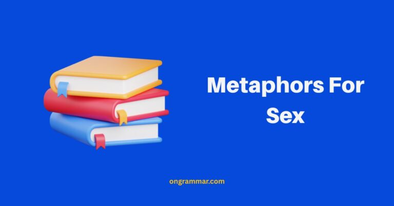 Metaphors For Sex